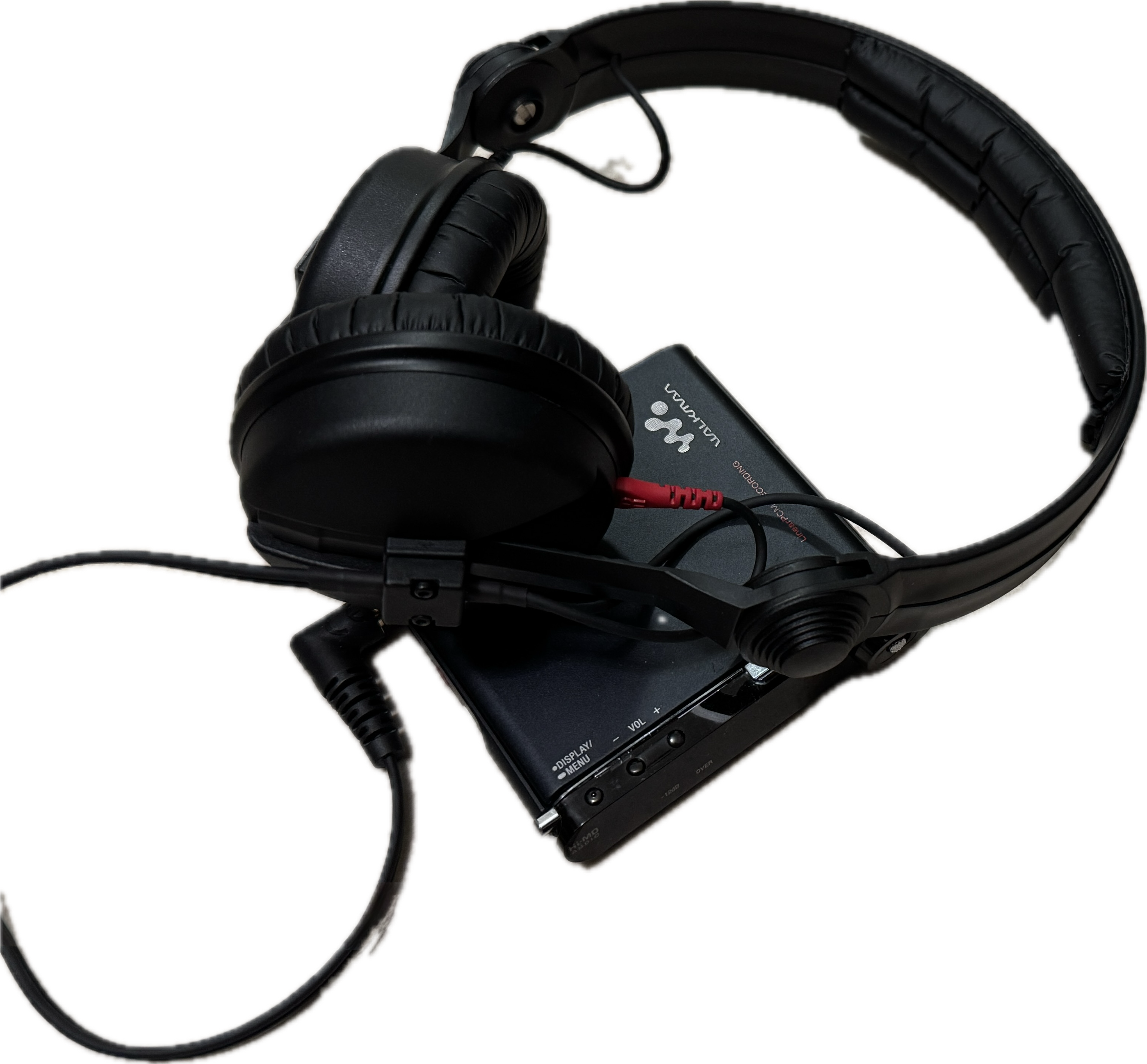 Build persona illustration